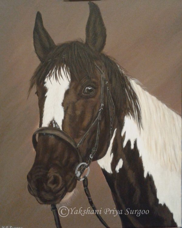 Horse Acrylic Painting