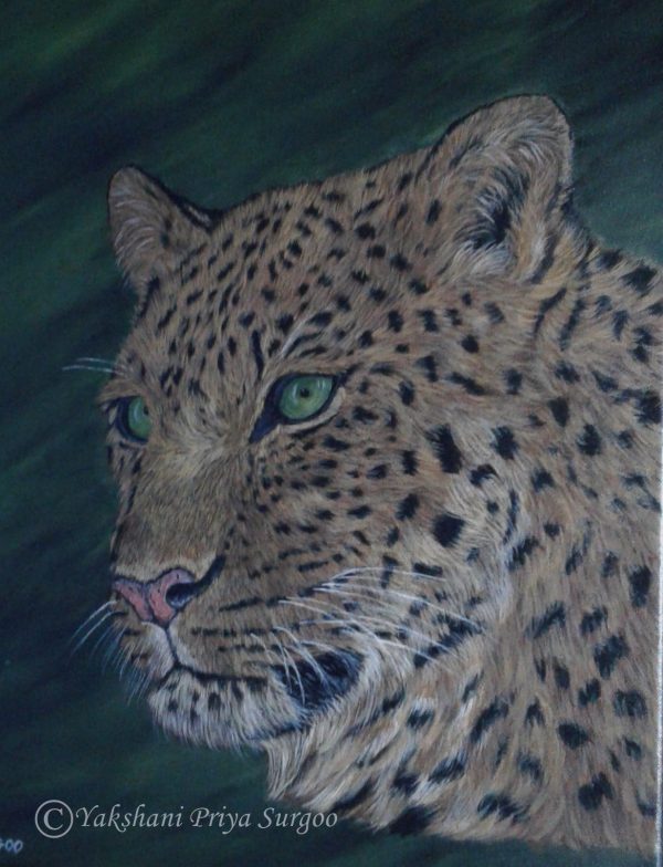 Leopard Acrylic Painting