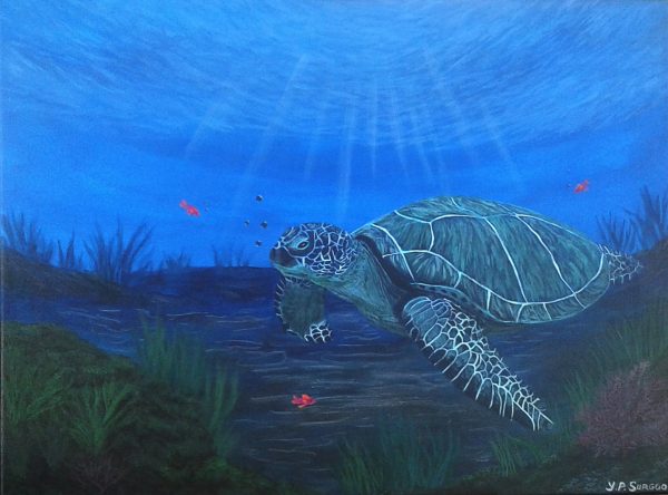 Acrylic Painting - Sea Turtle