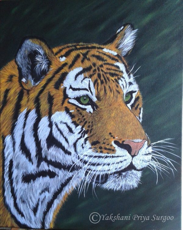 Tiger Acrylic Painting