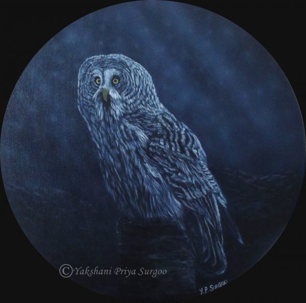 Acrylic Painting - Great Grey Owl