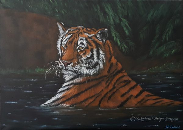 Tiger in water - Acrylic Painting