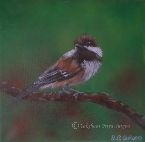 Acrylic Painting - Chestnut Chickadee