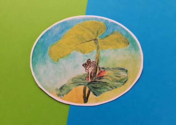 Frog Under Leaf Sticker